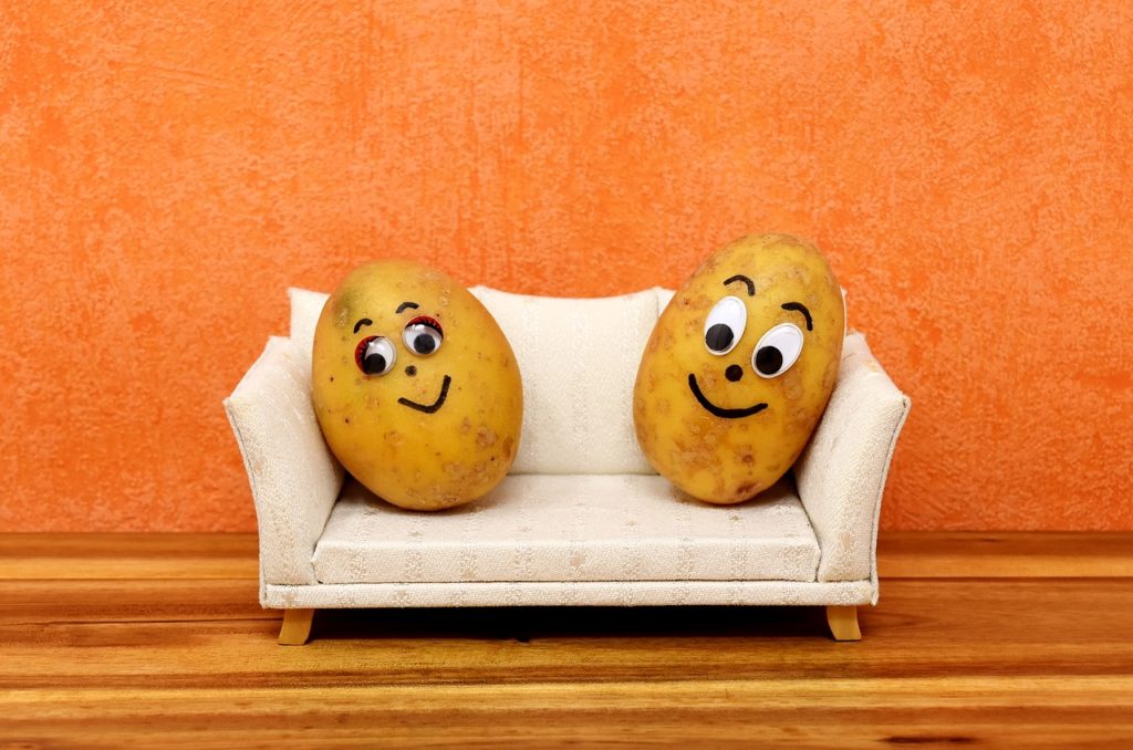 Two potatoes on a couch