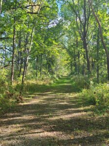 Van Patten Woods, Wadsworth, IL