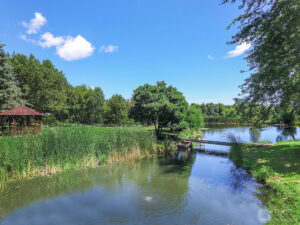 Half Acre Pond at 39575 N Dilleys Rd, Wadsworth