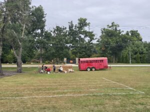 Petting Zoo from Patch 22 at the Wadsworth Anniversary party